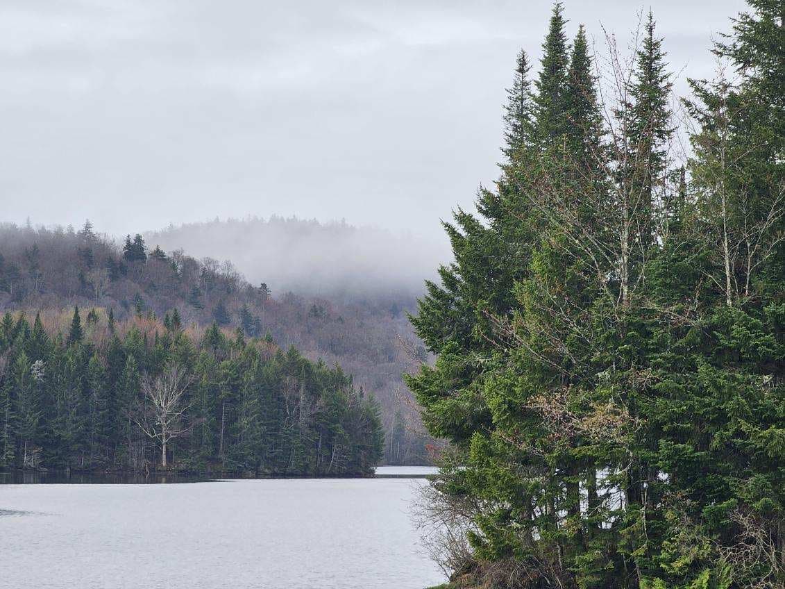 North Lake